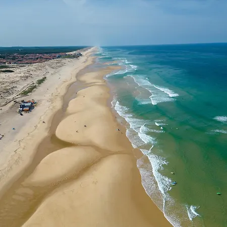 Plage: T2 Avec Terrasse, Parking, Face Océan - Fr-1-319-200 * Biscarrosse-Plage
