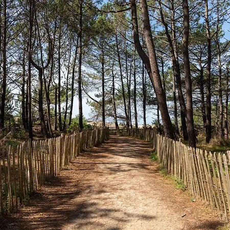 Plage: T2 Avec Terrasse, Parking, Face Ocean - Fr-1-319-200 *